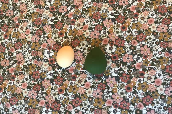 Maude drop next to a chicken egg