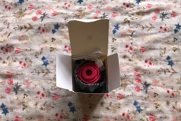 Rose Toy Inside Box With Rose Toy Charger